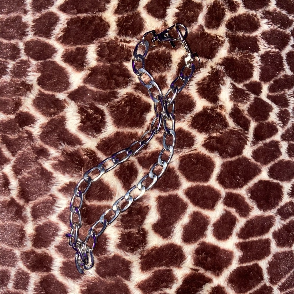 large attachable chain